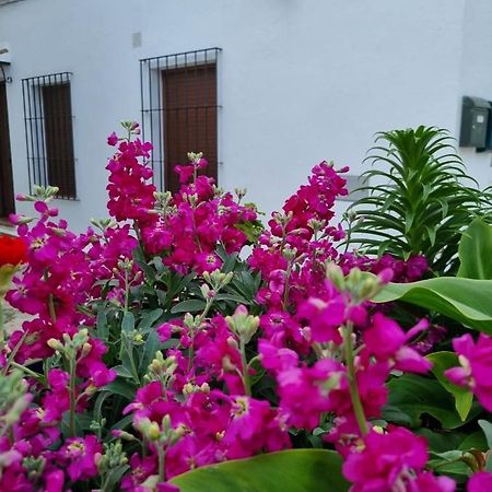 Casa Francisca En El Casco Antiguo Villa Vejer de la Frontera Buitenkant foto