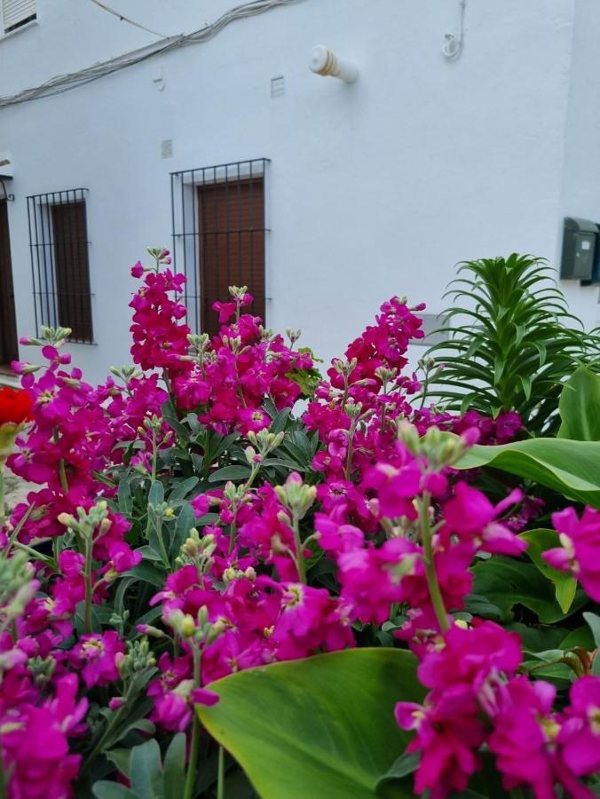 Casa Francisca En El Casco Antiguo Villa Vejer de la Frontera Buitenkant foto