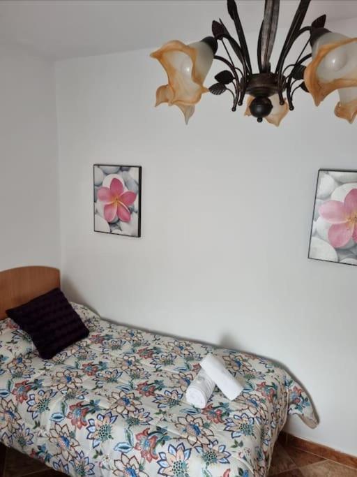 Casa Francisca En El Casco Antiguo Villa Vejer de la Frontera Buitenkant foto